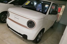 吉利银河 2024款 熊猫mini 200km 耐力熊