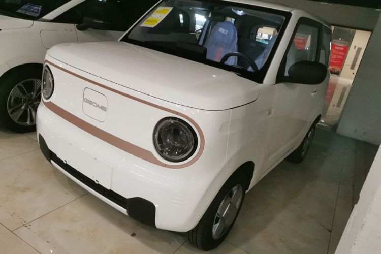 吉利银河 2024款 熊猫mini 200km 耐力熊车身外观1