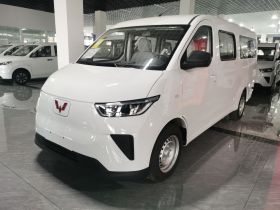 五菱汽车 五菱扬光 2025款 310KM 客车版宁德时代定制版
