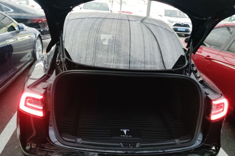 特斯拉 Model 3 2019款 标准续航后驱升级版局部细节23