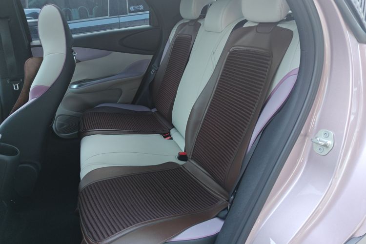 比亚迪 海豚 2021款 405km 时尚版中控内饰7004