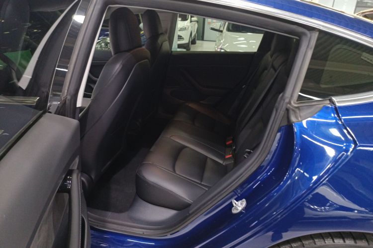 特斯拉 Model 3 2020款 改款 长续航后轮驱动版中控内饰7004