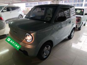 吉利银河 2023款 熊猫mini 200km 耐力熊