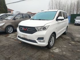 五菱汽车 五菱宏光 2021款 1.5L改款 S标准型 液压助力LAR