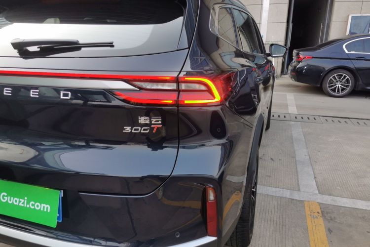 星途凌云 2025款 300T 两驱星耀版车身外观9