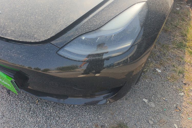 特斯拉 Model 3 2021款 标准续航后驱升级版 3D6局部细节36