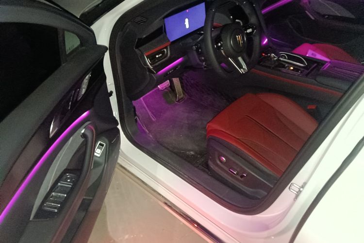 红旗H6 2024款 2.0T 致尚版中控内饰20