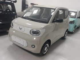 五菱汽车 宏光MINIEV 2024款 第三代 215km 青春版