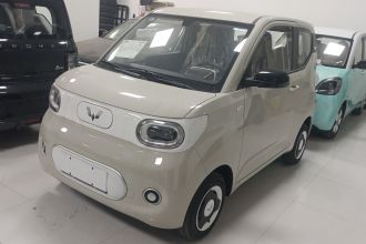 五菱汽车 宏光MINIEV 2024款 第三代 215km 青春版
