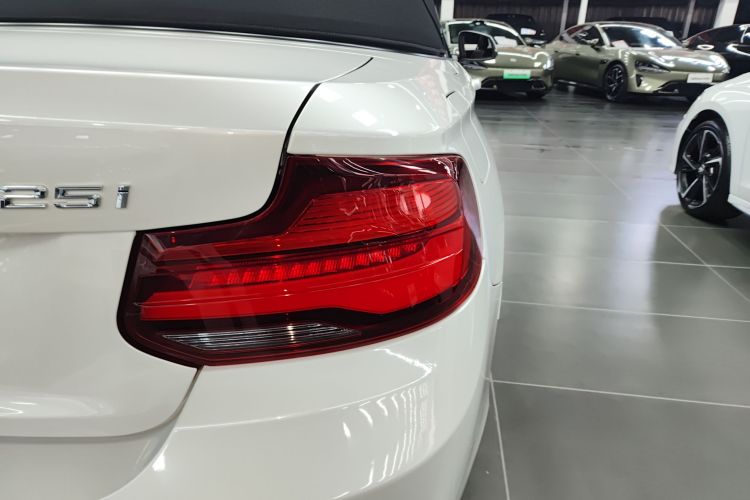 宝马2系(进口) 2019款 225i 敞篷轿跑车 运动设计套装车身外观6006