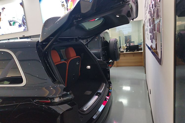 理想汽车 理想L9 2024款 Ultra局部细节23