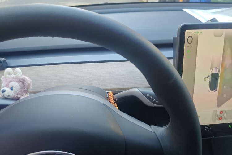 特斯拉 Model 3 2022款 后轮驱动版中控内饰14