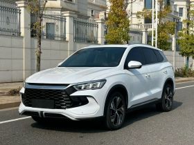 比亚迪 宋Pro新能源 2023款 冠军版 DM-i 110KM卓越型