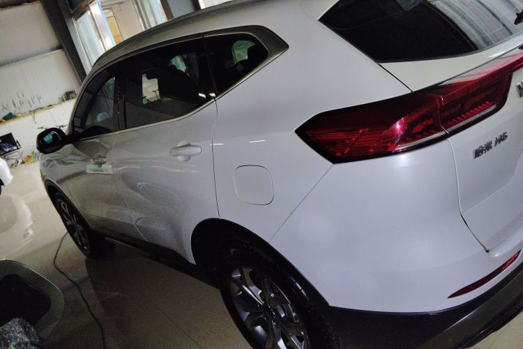 哈弗H6 2021款 国潮版 1.5T 自动冠军版车身外观6003