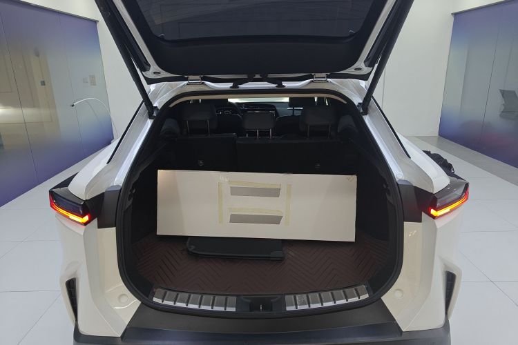 雷克萨斯RZ 2023款 450e 四驱纵享版机舱底盘23