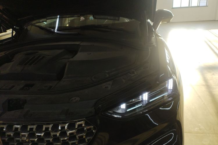 魏牌 VV7 2020款 2.0T 旗舰型局部细节9006