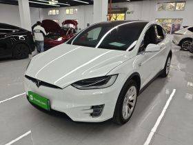 特斯拉 Model X 2019款 长续航版