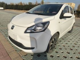 长安欧尚 奔奔E-Star 2021款 国民版 心悦版 磷酸铁锂（31.86kWh）