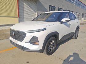 宝骏RS-3 2020款 1.5L CVT智能精英型