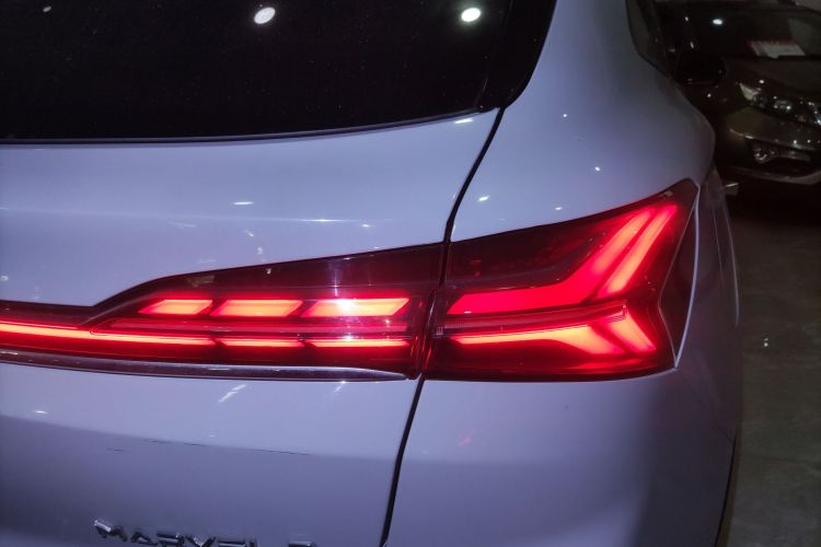 飞凡汽车 飞凡MARVEL R 2021款 后驱标准版车身外观9