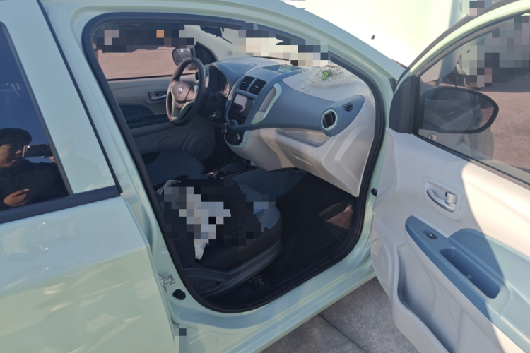 长安欧尚 奔奔E-Star 2021款 国民版 多彩款 磷酸铁锂（31.86kWh）局部细节9005