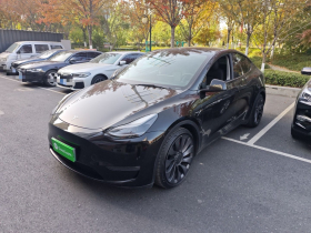 特斯拉 Model Y 2021款 Performance高性能全轮驱动版