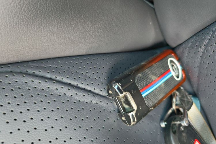 广汽传祺 传祺M8 2021款 大师系列 390T 尊贵版中控内饰11