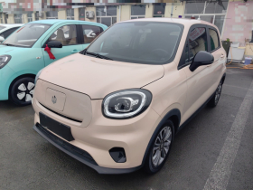 零跑汽车 零跑T03 2022款 特别版