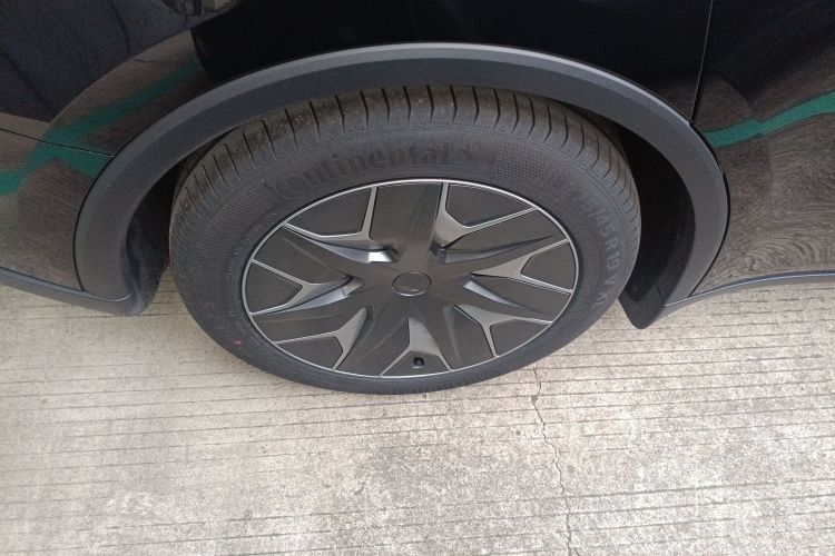 特斯拉 Model Y L 2025款 长续航全轮驱动版车身外观6008