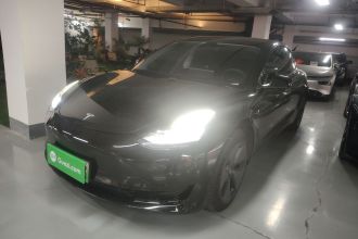 特斯拉 Model 3 2021款 标准续航后驱升级版