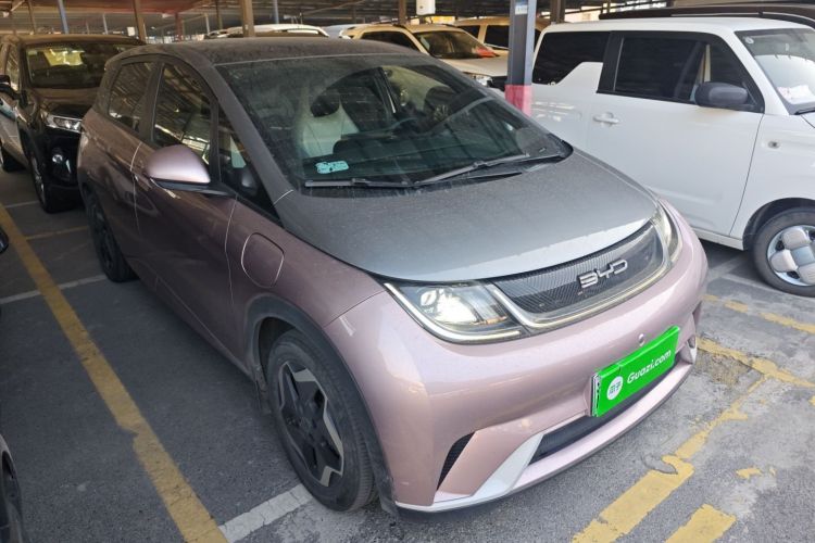 比亚迪 海豚 2021款 405km 时尚版车身外观3