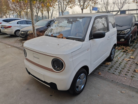 吉利银河 2024款 熊猫mini 200km 耐力熊