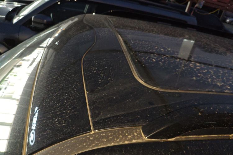 方程豹 豹5 2025款 天神智驾Ultra版局部细节57