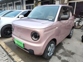 吉利银河 2023款 熊猫mini 200km 耐力熊