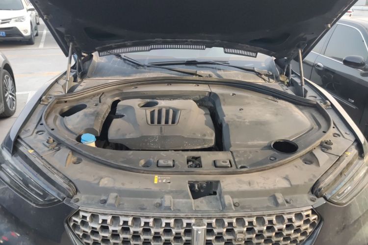 魏牌 VV7 GT 2020款 2.0T 旗舰型机舱底盘24