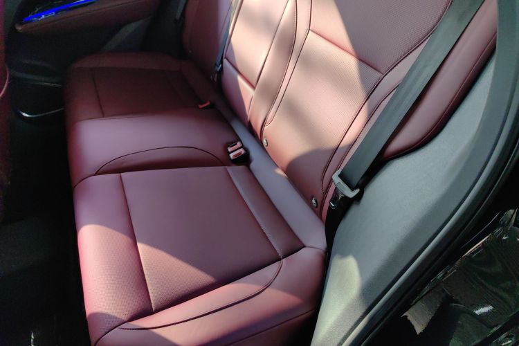 红旗HS3 PHEV 2025款 PHEV 117km 劲为PLUS版中控内饰21