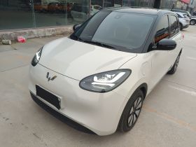 五菱汽车 五菱缤果 2023款 333km 悦享+款