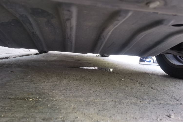 欧拉iQ 2018款 高续航版 智联型局部细节9008