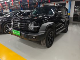 坦克300 2025款 2.0T 征服者