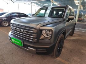 哈弗猛龙新能源 2024款 Hi4 145 穿越版