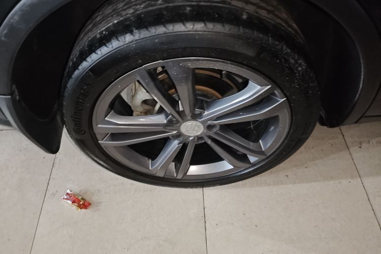 比亚迪 唐 2021款 2.0T 自动旗舰型车身外观6008