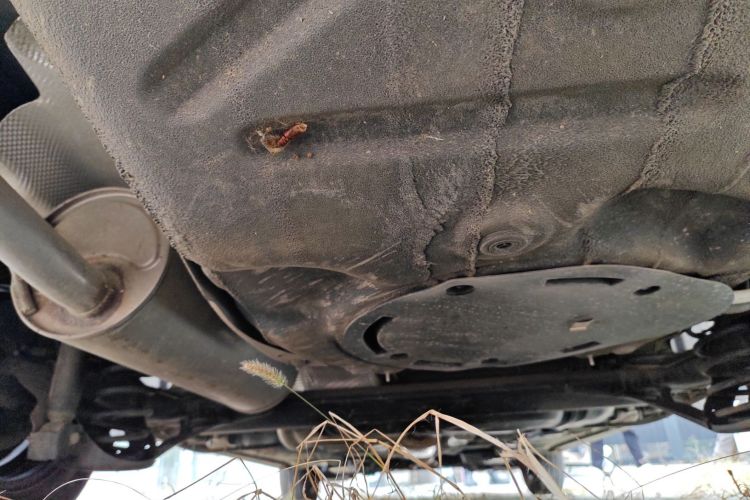 大众 桑塔纳 2019款 1.5L 手动风尚版 国VI局部细节9009