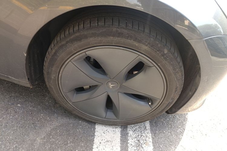 特斯拉 Model 3(进口) 2019款 长续航后驱版车身外观6007