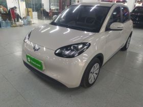 五菱汽车 五菱缤果 2023款 203km 轻享款