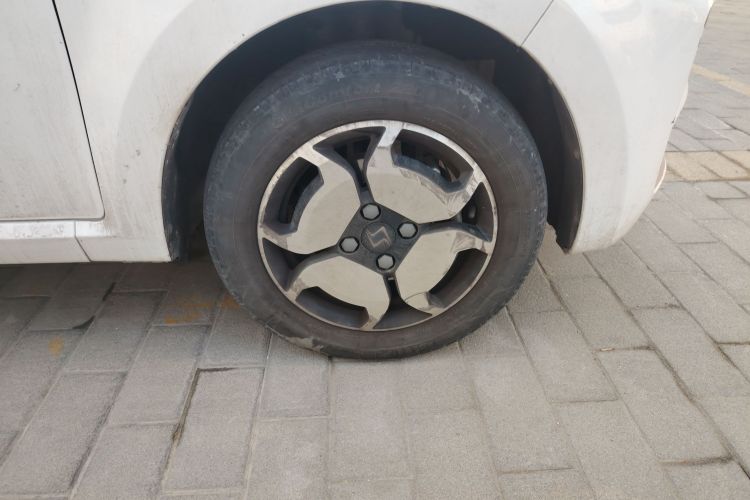 思皓 2022款 花仙子款 四叶草车身外观10