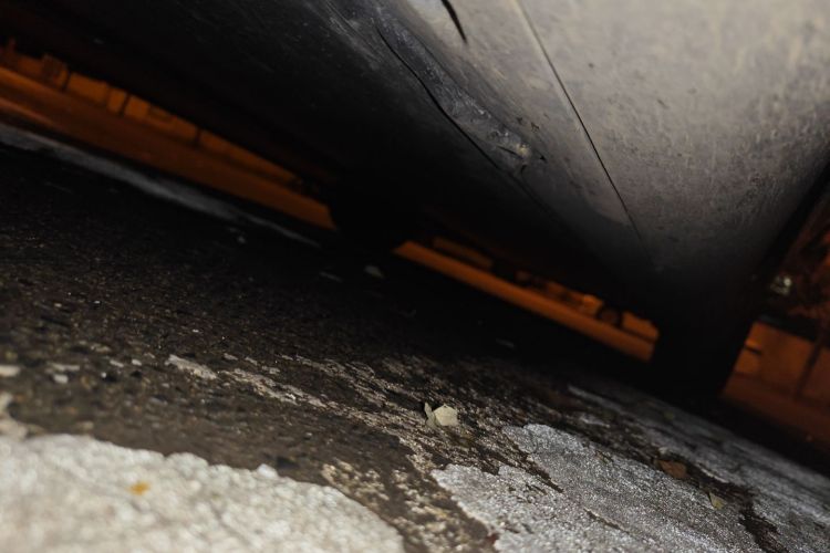 特斯拉 Model Y 2021款 标准续航后驱版局部细节9004