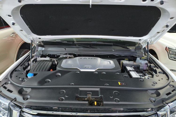 坦克500 2023款 3.0T 商务版 造境型 7座机舱底盘24