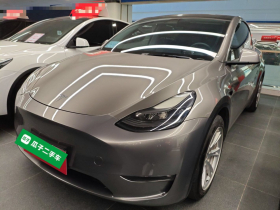 特斯拉 Model Y 2021款 标准续航后驱版