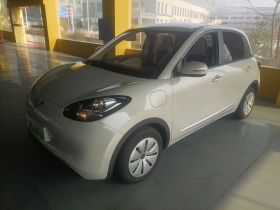 五菱汽车 五菱缤果 2025款 203km 轻享款