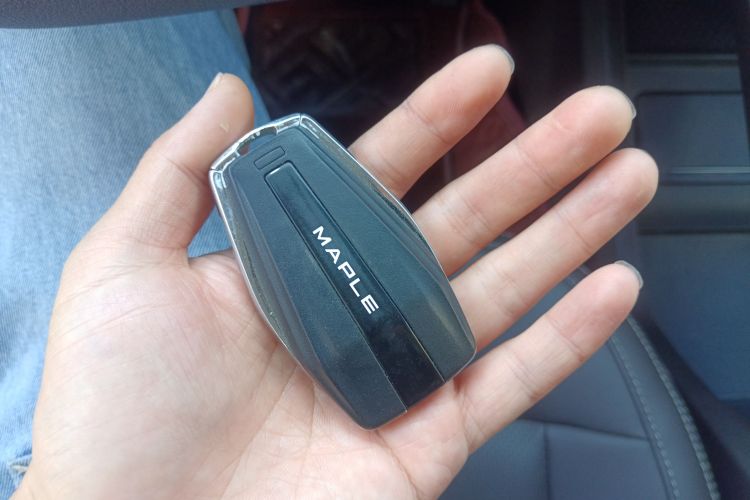 睿蓝汽车 枫叶80V 2021款 易行版 三元锂中控内饰11